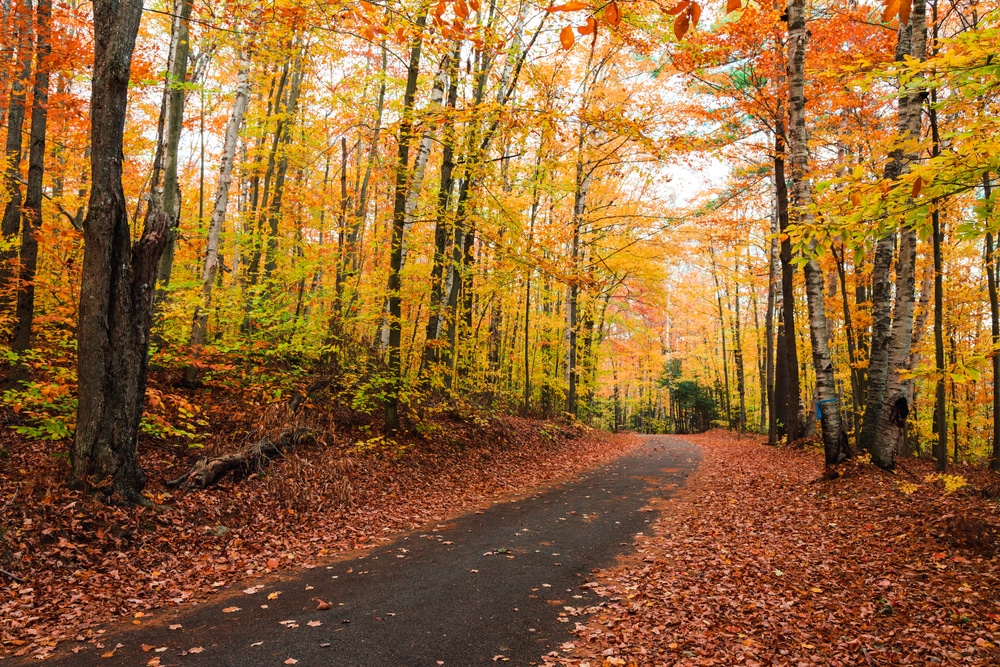 Go Hiking for some stunning Adirondacks Fall Foliage near our Upstate New York hotel