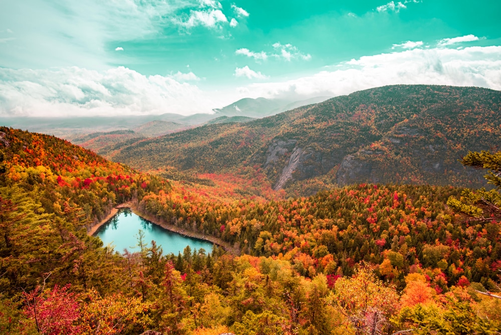 Springtime in upstate New York - Forests & Nature Background