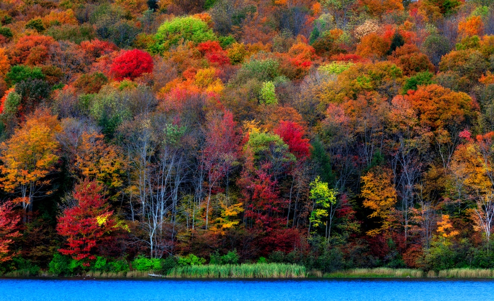 The Ultimate List of Things to Do in Upstate NY This Fall | Adirondack Hotel Loon Lake and fall foliage. Enjoying the Adirondacks fall foliage on the trails or water is one of the best things to do in Upstate NY this fall.